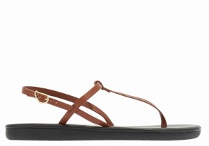 Ancient Greek Sandals Lito Flip Flop Sandaler Med Ryggreim Dame Mørke Brune | PAV5960VB