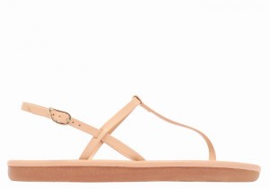 Ancient Greek Sandals Lito Flip Flop Sandaler Med Ryggreim Dame Beige | MGY3148US