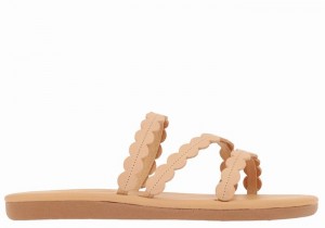 Ancient Greek Sandals Oceanis Slidesandaler Dame Beige | AJQ7788DD