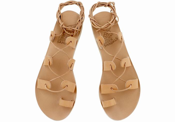 Ancient Greek Sandals Alcyone Leather Gladiatorsandaler Dame Beige | VEN208AG