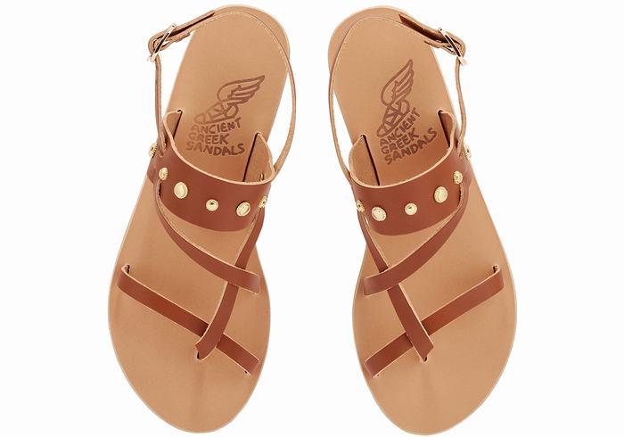 Ancient Greek Sandals Alethea Bee Sandaler Med Ryggreim Dame Mørke Brune | VQY2498YA