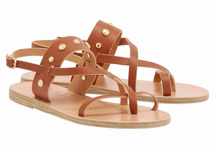 Ancient Greek Sandals Alethea Bee Sandaler Med Ryggreim Dame Mørke Brune | VQY2498YA