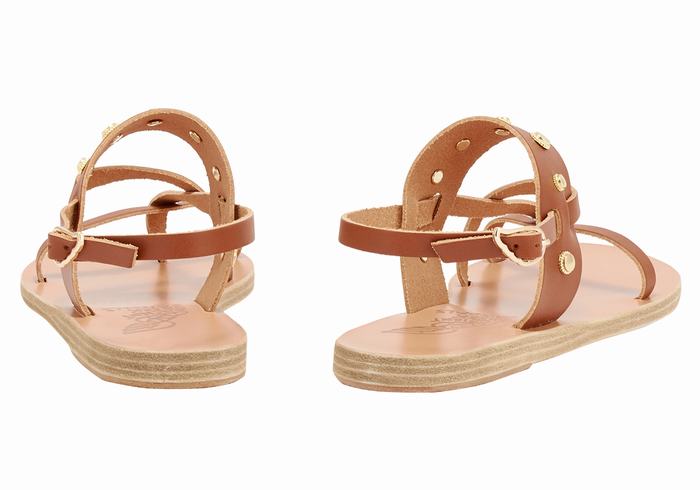 Ancient Greek Sandals Alethea Bee Sandaler Med Ryggreim Dame Mørke Brune | VQY2498YA