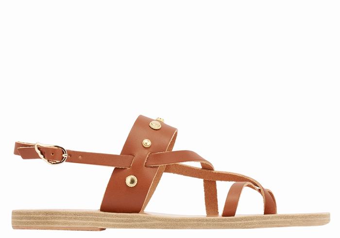 Ancient Greek Sandals Alethea Bee Sandaler Med Ryggreim Dame Mørke Brune | VQY2498YA