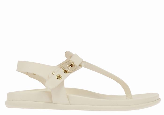 Ancient Greek Sandals Alki Flip Flop Sandaler Med Ryggreim Dame Hvite | HPR8062LH