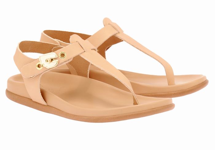 Ancient Greek Sandals Alki Flip Flop Sandaler Med Ryggreim Dame Beige | HOE2433TM