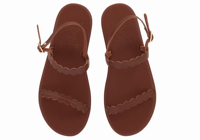 Ancient Greek Sandals Aroula Sandaler Med Ryggreim Dame Kaffe | VHX7673YO