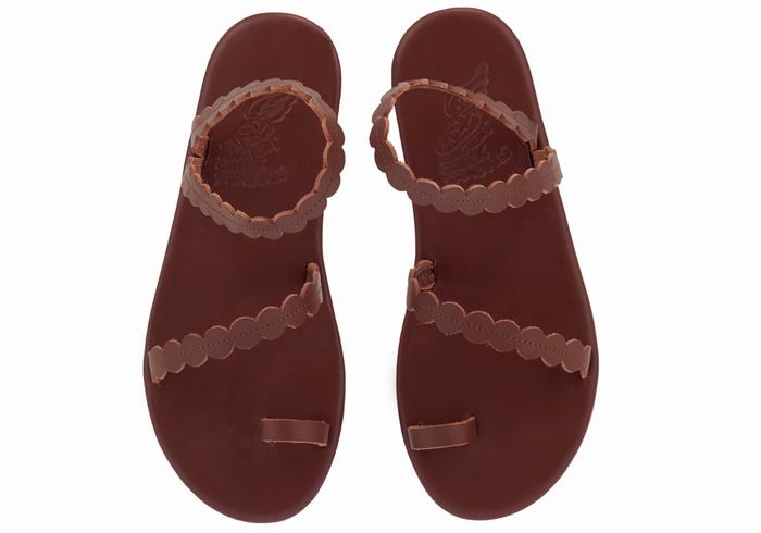 Ancient Greek Sandals Aura Sandaler Med Tåstolper Dame Kaffe | ZVZ1074TT