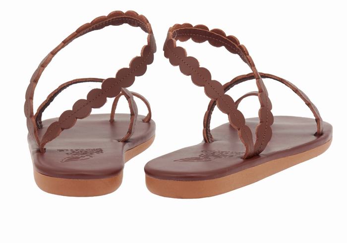 Ancient Greek Sandals Aura Sandaler Med Tåstolper Dame Kaffe | ZVZ1074TT