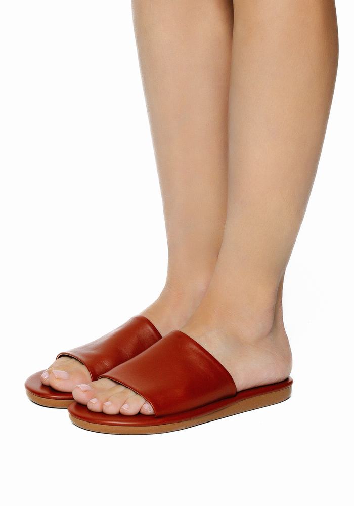 Ancient Greek Sandals Cerastes Slidesandaler Dame Mørke Brune | BGQ4699FH