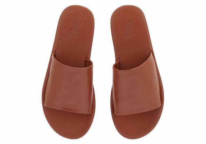 Ancient Greek Sandals Cerastes Slidesandaler Dame Mørke Brune | BGQ4699FH