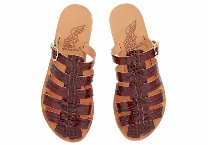 Ancient Greek Sandals Cosmia Fisker Sandaler Dame Mørke Rød Svarte | XWJ4423VA