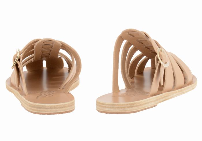 Ancient Greek Sandals Cosmia Fisker Sandaler Dame Beige | JTP9982SH