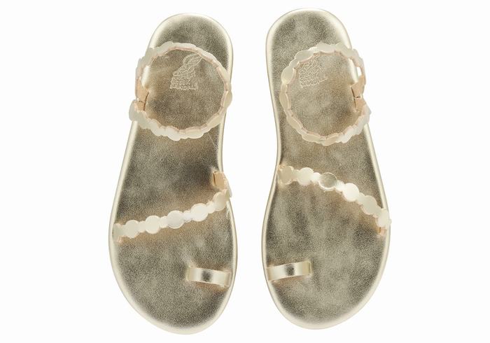 Ancient Greek Sandals Cronos Sandaler Med Tåstolper Dame Gull Hvite | JNA753BU