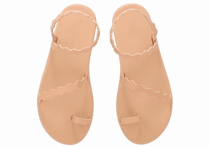 Ancient Greek Sandals Cronos Sandaler Med Tåstolper Dame Beige | GNB5421ZI