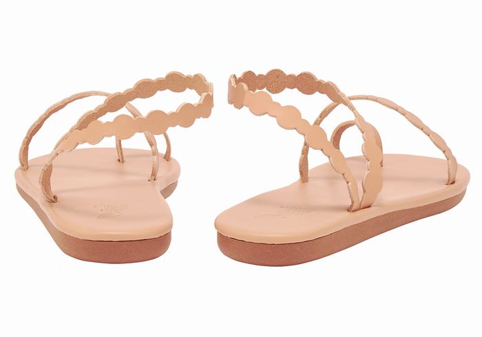 Ancient Greek Sandals Cronos Sandaler Med Tåstolper Dame Beige | GNB5421ZI