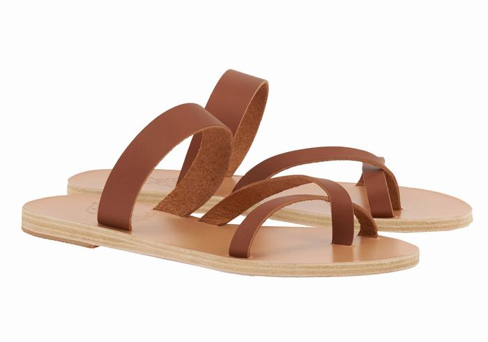 Ancient Greek Sandals Daphnae Leather Slidesandaler Dame Mørke Brune | BET4992AR