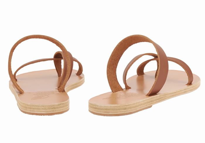 Ancient Greek Sandals Daphnae Leather Slidesandaler Dame Mørke Brune | BET4992AR