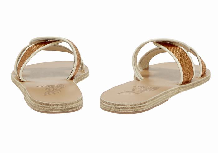 Ancient Greek Sandals Desmos Slidesandaler Dame Brune Hvite | MOO6846GS