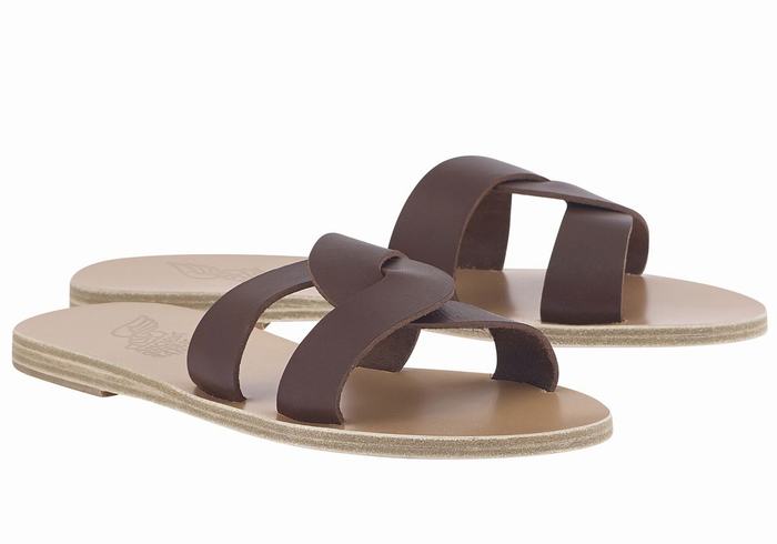 Ancient Greek Sandals Desmos Slidesandaler Dame Kaffe | FBY7459GH