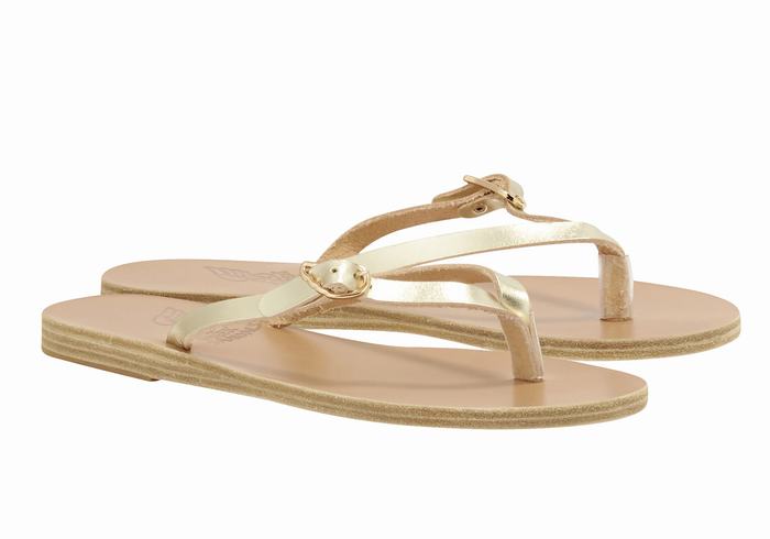 Ancient Greek Sandals Dihalo Leather Flip Flops Dame Gull Hvite | EIP2447BS