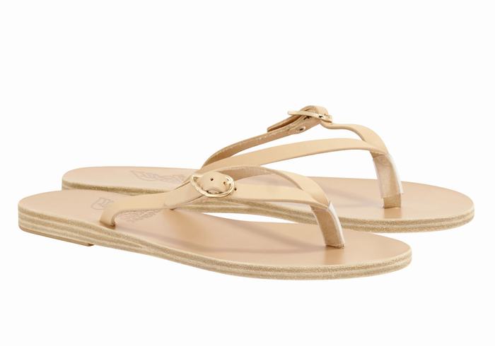 Ancient Greek Sandals Dihalo Leather Flip Flops Dame Beige | AAQ5611HL