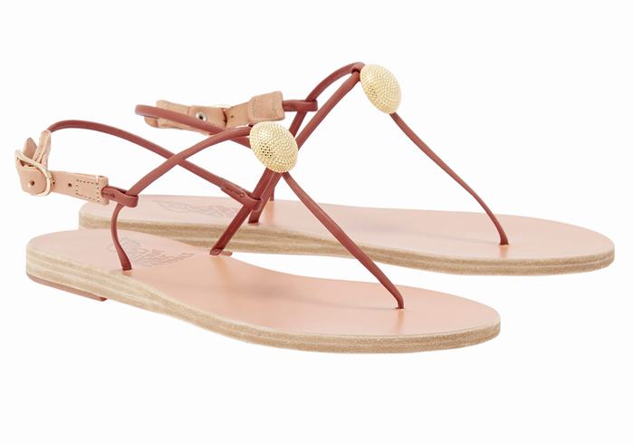 Ancient Greek Sandals Dimitra Flip Flop Sandaler Med Ryggreim Dame Rød | ZGJ7092DK