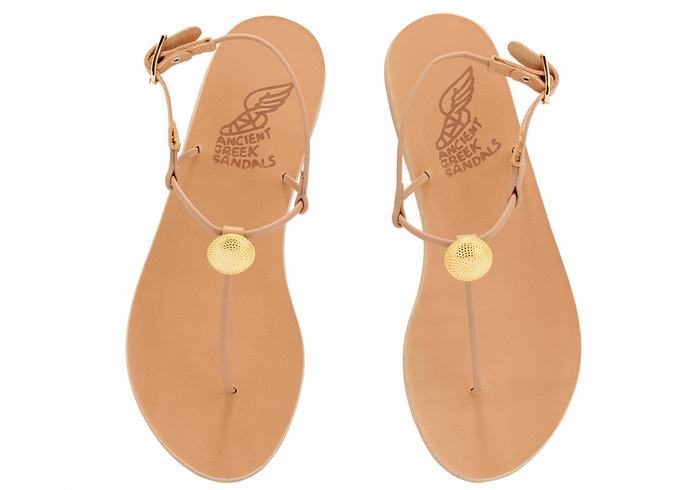 Ancient Greek Sandals Dimitra Flip Flop Sandaler Med Ryggreim Dame Beige | AXZ1965CZ