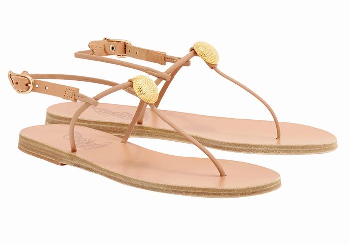 Ancient Greek Sandals Dimitra Flip Flop Sandaler Med Ryggreim Dame Beige | AXZ1965CZ