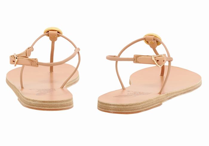 Ancient Greek Sandals Dimitra Flip Flop Sandaler Med Ryggreim Dame Beige | AXZ1965CZ