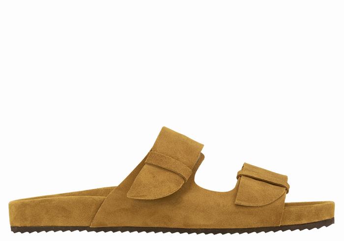 Ancient Greek Sandals Diogenis Tøfler Herre Brune | ZTP8179WV