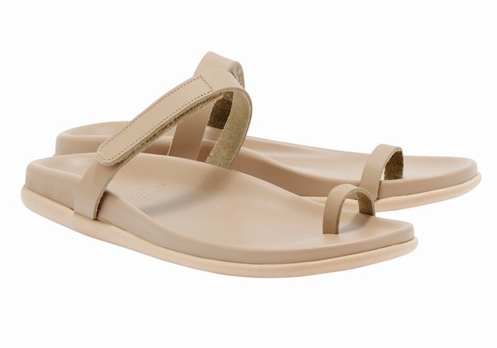 Ancient Greek Sandals Dokos Sandaler Med Tåstolper Dame Grå Brune | FUZ3198UG