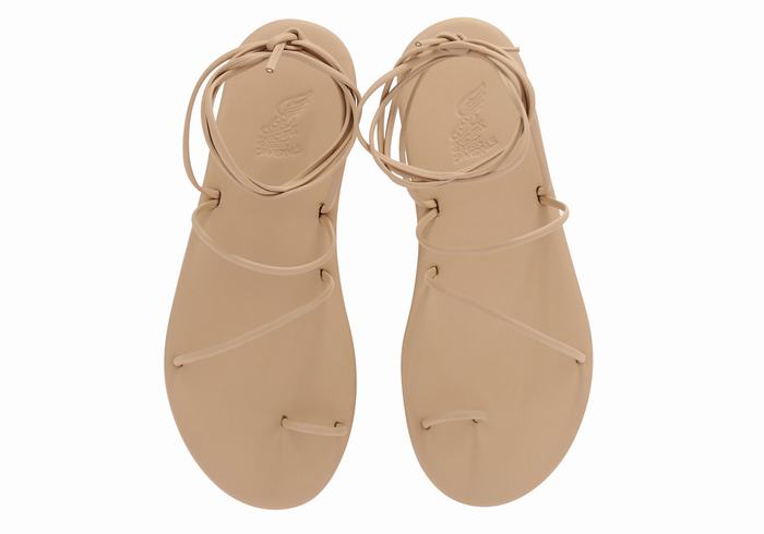 Ancient Greek Sandals Du Sandaler Med Tåstolper Dame Beige | GEW7973DH