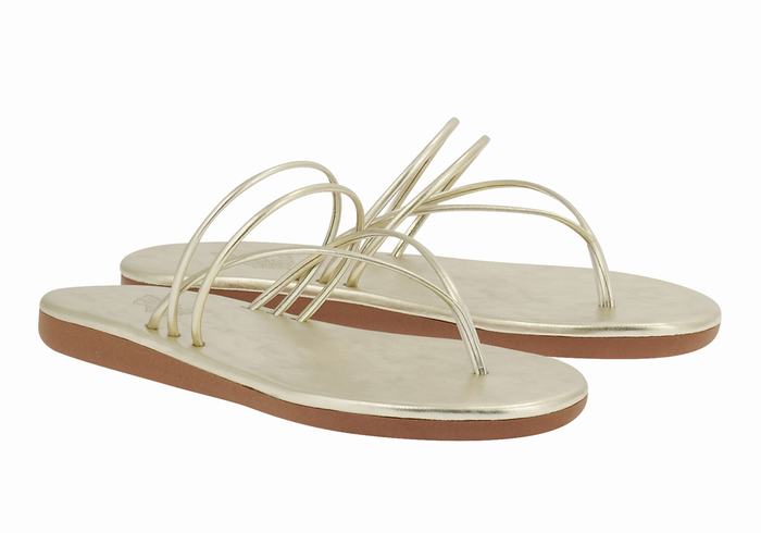 Ancient Greek Sandals E Flip Flops Dame Gull Hvite | YCS3496SB