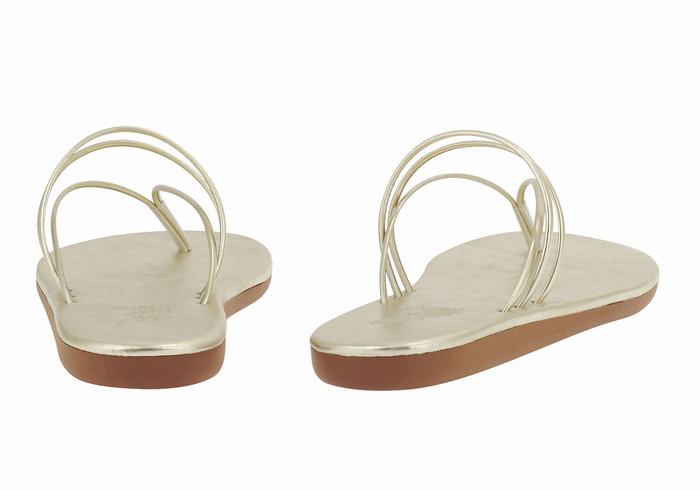 Ancient Greek Sandals E Flip Flops Dame Gull Hvite | YCS3496SB