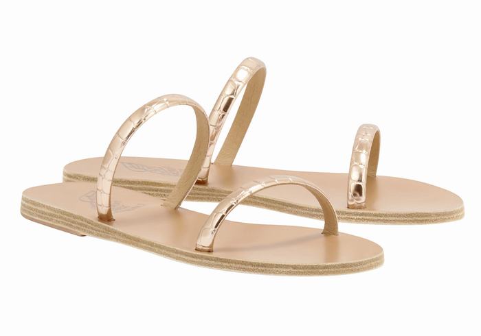 Ancient Greek Sandals Echidna Slidesandaler Dame Rosa Gull | EIV92100OE