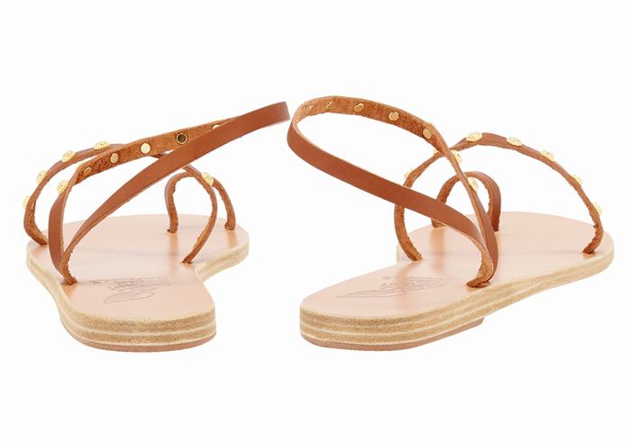 Ancient Greek Sandals Eleftheria Bee Sandaler Med Tåstolper Dame Mørke Brune | ISV3332EC