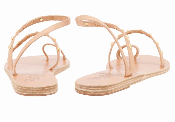 Ancient Greek Sandals Eleftheria Bee Sandaler Med Tåstolper Dame Beige | EJB6026NH