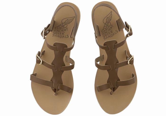 Ancient Greek Sandals Grace Kelly Leather Casual Sandaler Dame Mørke Brune | HXT6274EW