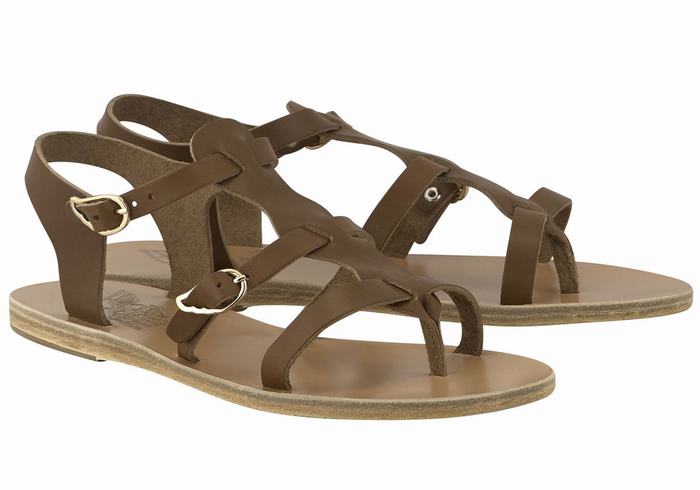 Ancient Greek Sandals Grace Kelly Leather Casual Sandaler Dame Mørke Brune | HXT6274EW