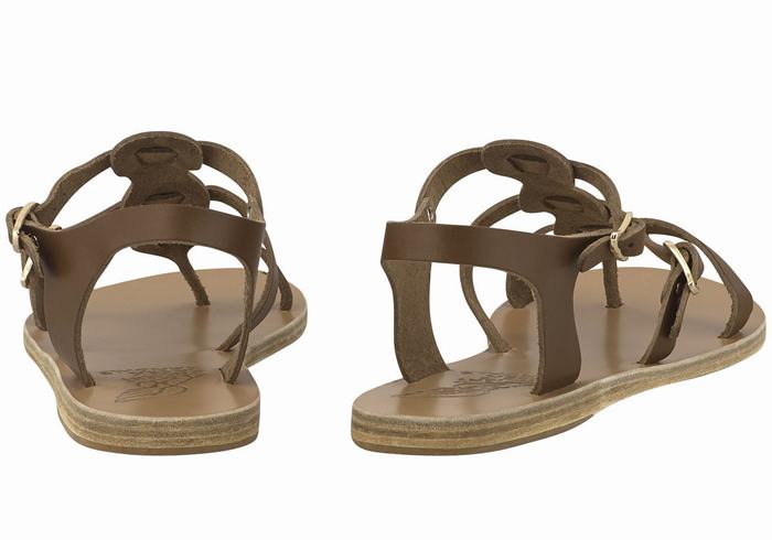 Ancient Greek Sandals Grace Kelly Leather Casual Sandaler Dame Mørke Brune | HXT6274EW