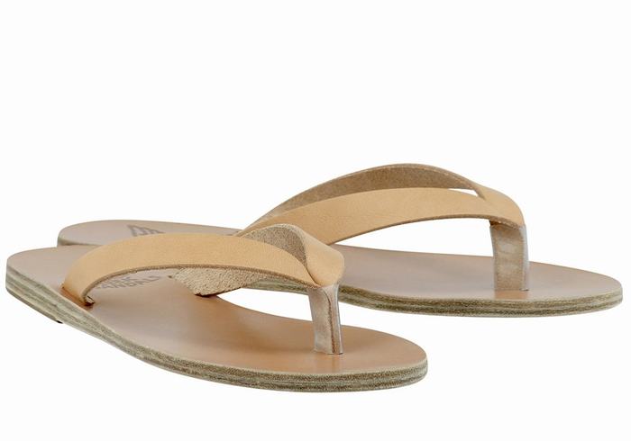 Ancient Greek Sandals Hera Leather Flip Flops Dame Beige | MOW1516FY