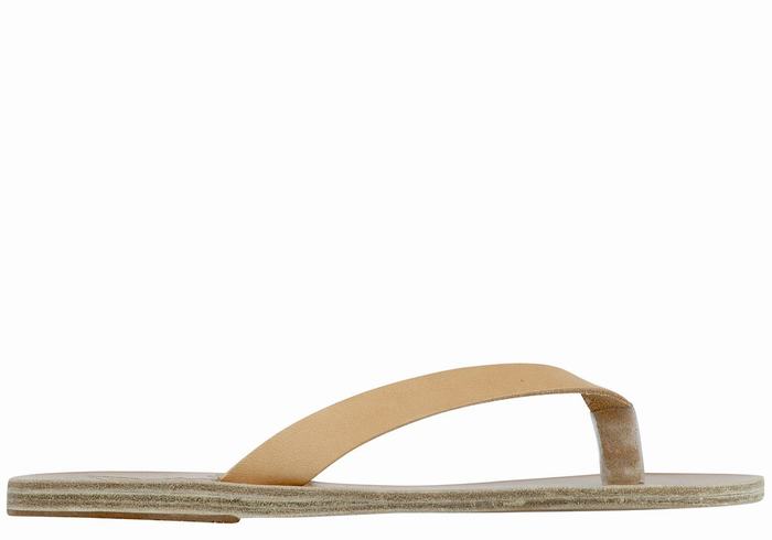 Ancient Greek Sandals Hera Leather Flip Flops Dame Beige | MOW1516FY