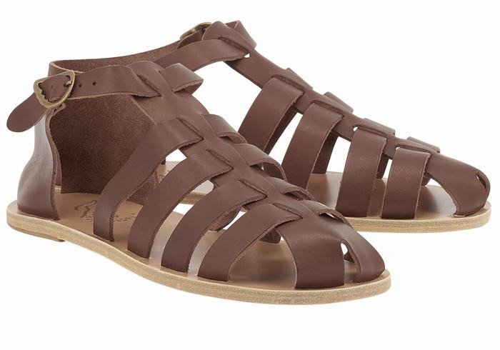 Ancient Greek Sandals Homer Leather Fisker Sandaler Herre Kaffe | HIX1640JT