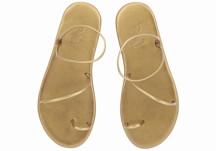 Ancient Greek Sandals Kansiz Sandaler Med Tåstolper Dame Gull Brune | ECW9140BI