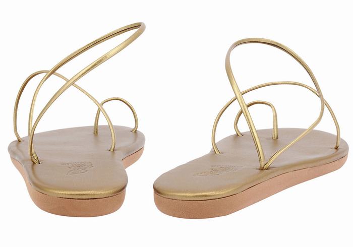 Ancient Greek Sandals Kansiz Sandaler Med Tåstolper Dame Gull Brune | ECW9140BI