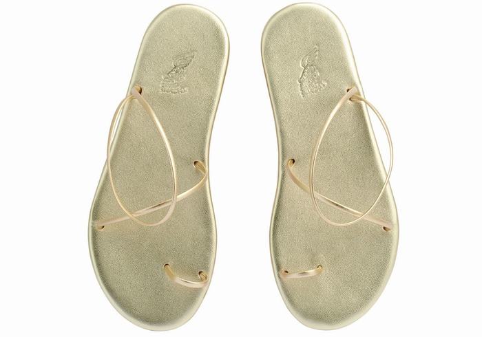 Ancient Greek Sandals Kansiz Sandaler Med Tåstolper Dame Gull Hvite | SVV7837YG