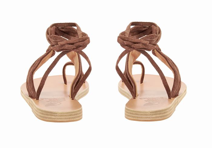 Ancient Greek Sandals Kerasia Gladiatorsandaler Dame Kaffe | VHC2853VT