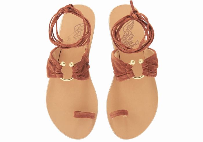 Ancient Greek Sandals Kerasia Gladiatorsandaler Dame Kaffe | ZUQ9452CX