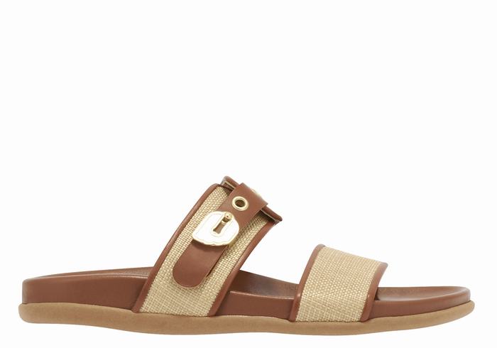 Ancient Greek Sandals Latria Slidesandaler Dame Beige Brune | JXS4587PX